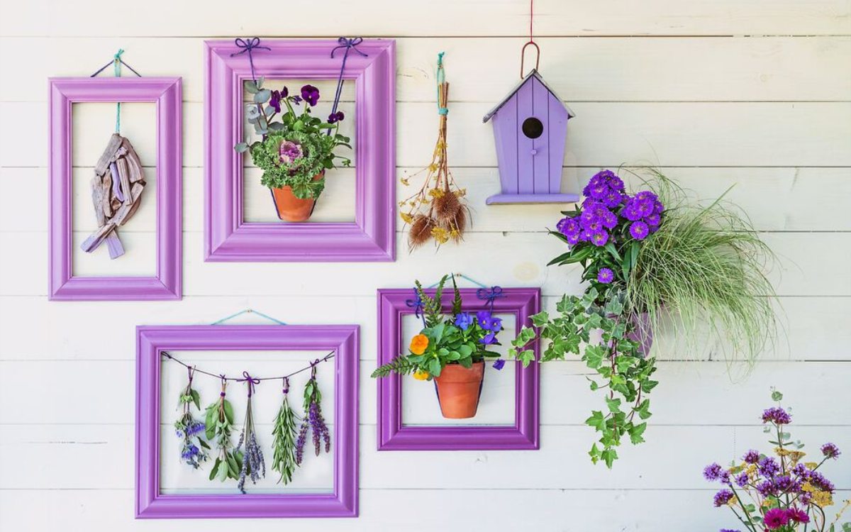 Growing Gallery wall concept: potted plants in purple frames