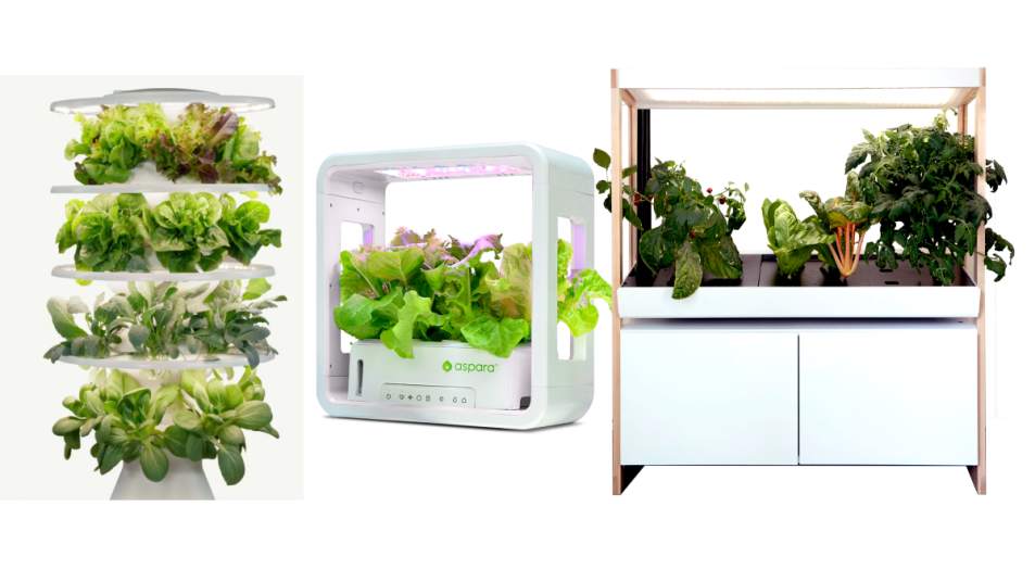 Lettuce Grow Farmstand Aspara Lite and Rise Garden hydroponic gardens
