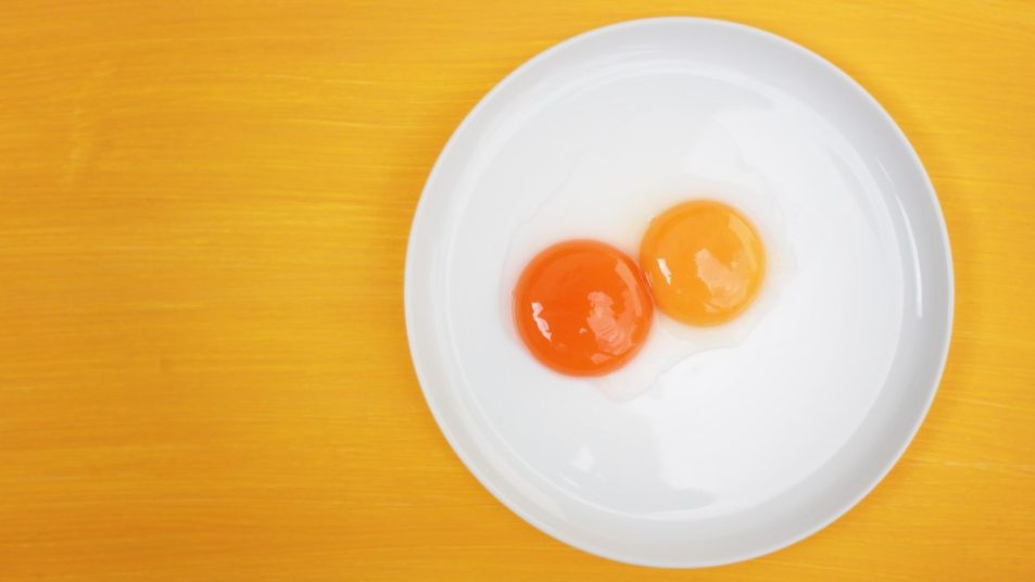 a dark colored egg yolk and a light egg yolk on a white plate against a yellow background