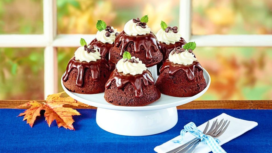 Double Fudge Mini Bundt Cakes sits on a white plate (Mini bundt cake recipes)