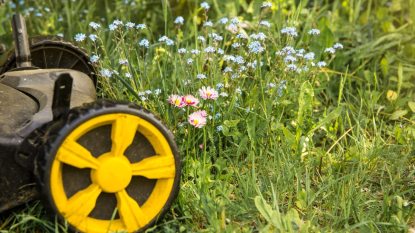 lawn mower in front of overgrown grass and flowering grass