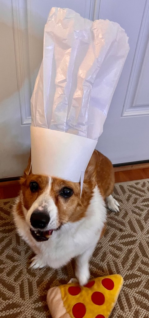 corgi in chef hat with pizza toy