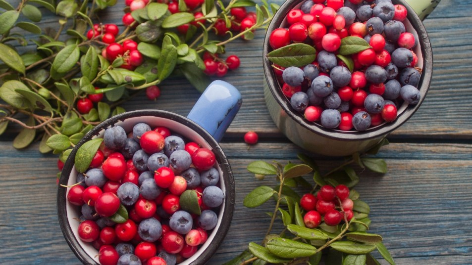 bowls of cranberries and blueberries for brain health on a wooden table