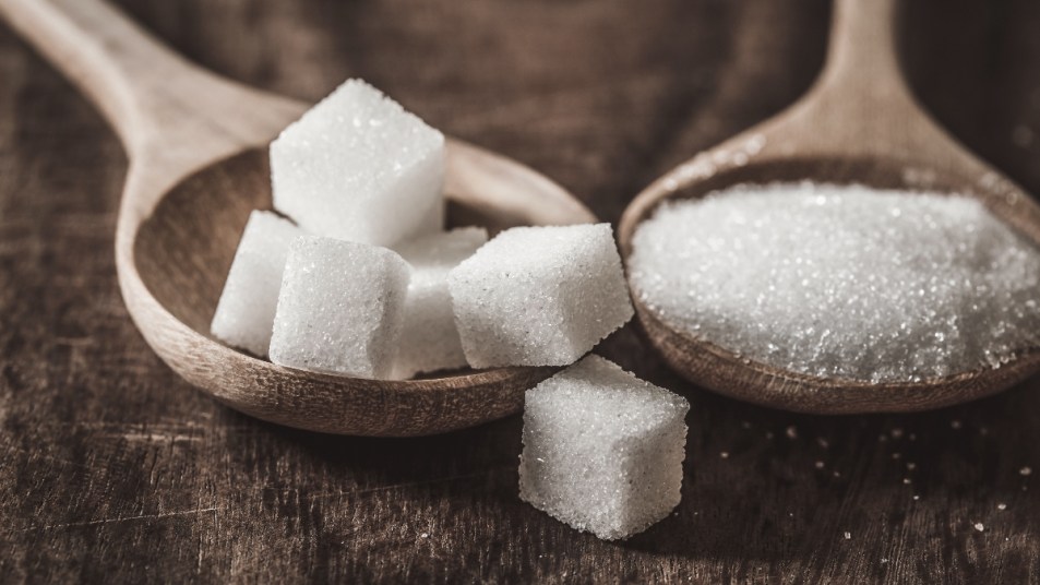 hard sugar cubes and soft sugar in two wooden spoons