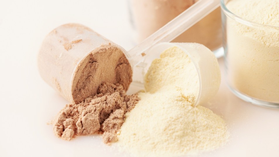 protein powders chocolate and vanilla in plastic scoops