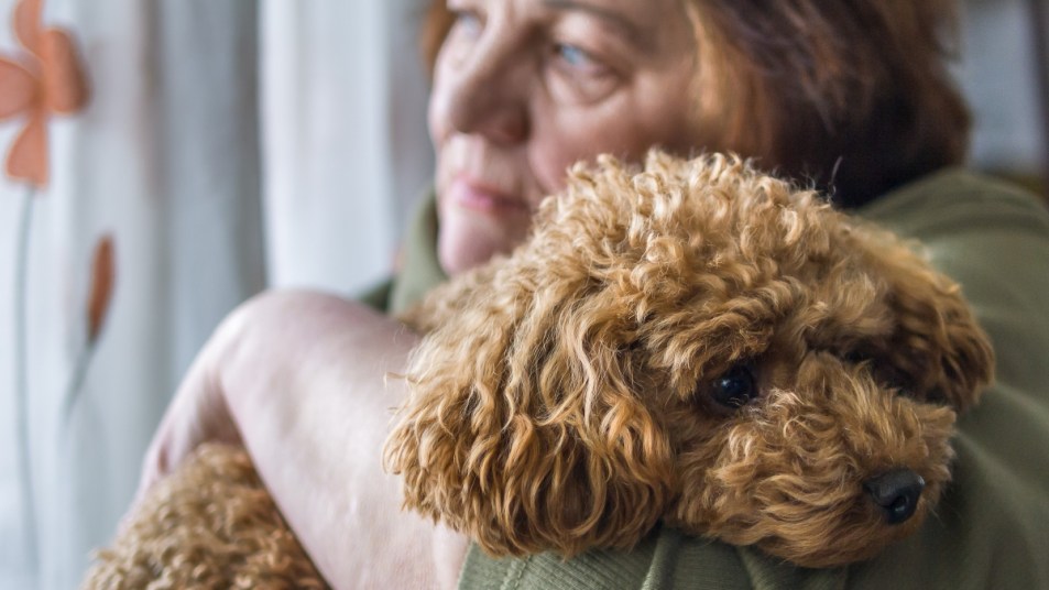 an elderly woman holding a cute puppy poodle