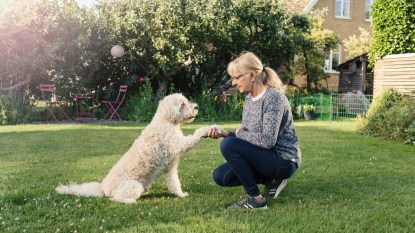 Mature woman shaking hand with dog in back yard