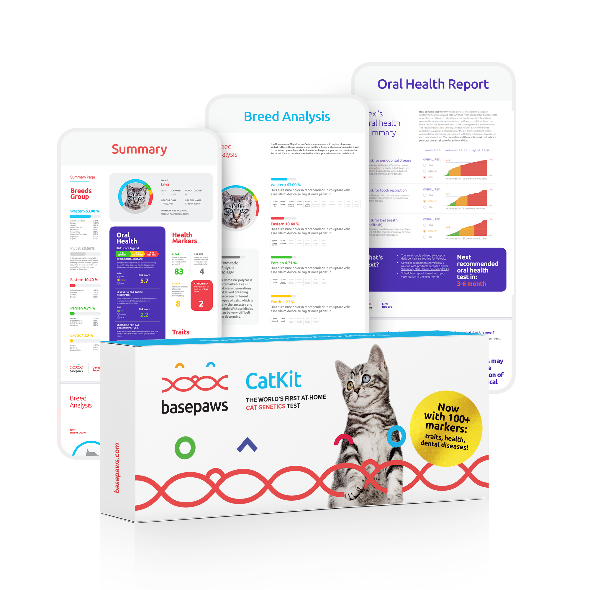 Basepaws cat DNA test with results on phone