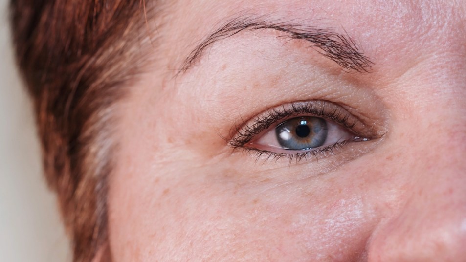 Close-up of woman's eyebrow