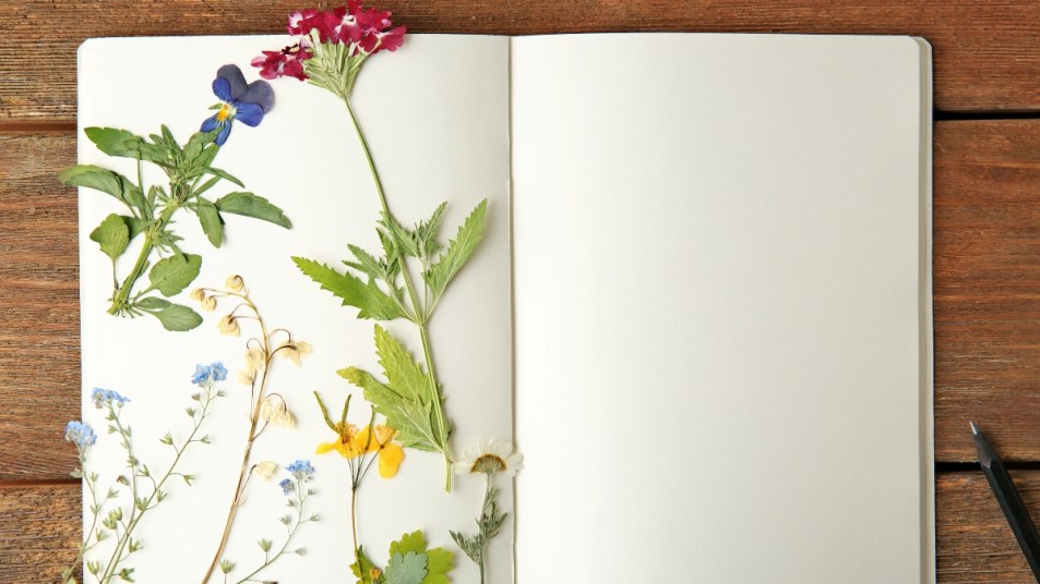 pressed flower art in a white notebook