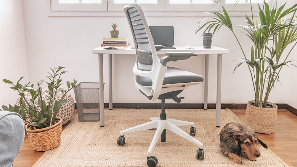 Home office desk chair: dirtiest places in the house