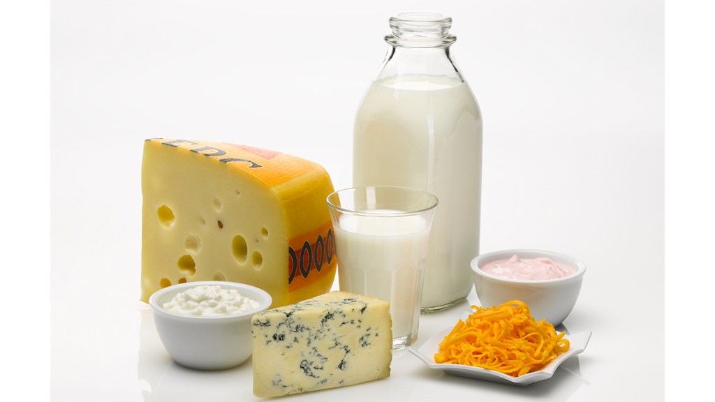 milk, yogurt, cheese and other dairy products: best foods for bone health 