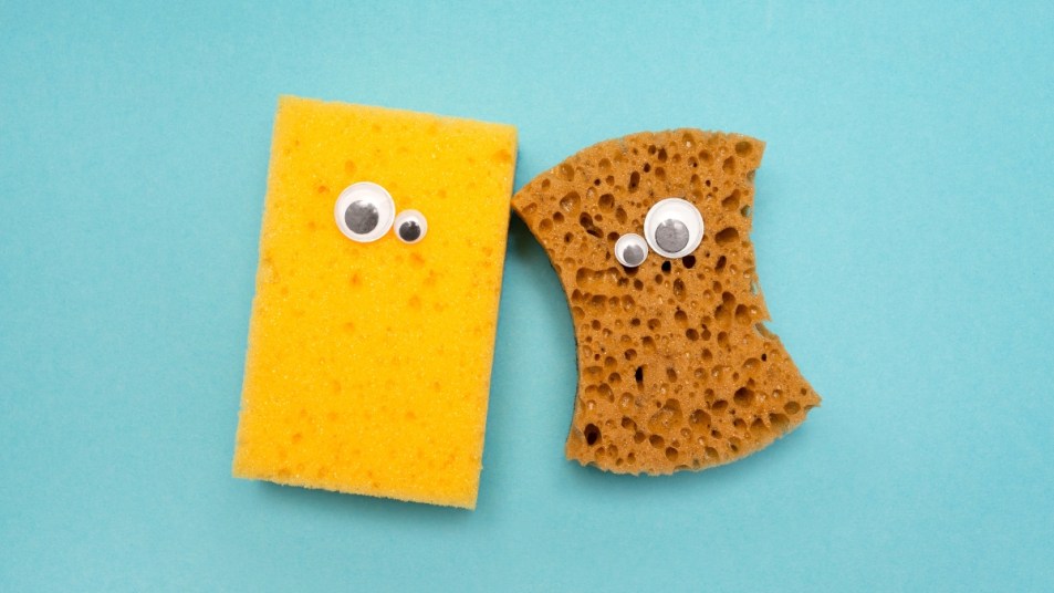 Two cleaning sponges with googly eyes. A funny face. Round eyes. Blue background