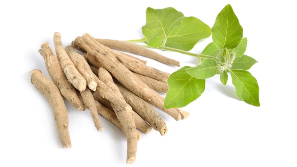 Ashwagandha, a supplement that can be used to treat mitochondrial dysfunction