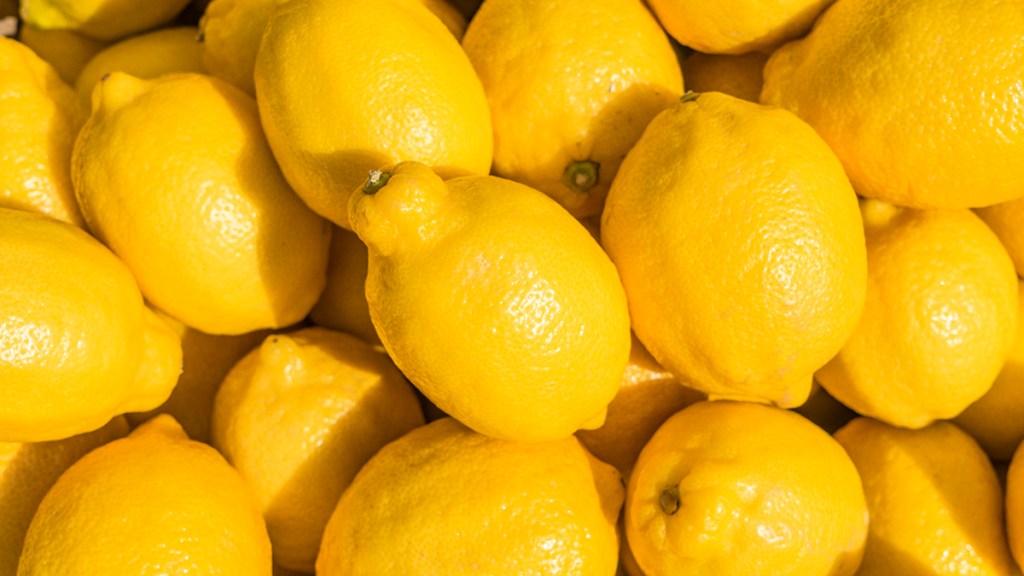 Lemons gathered together to make an essential oil for focus