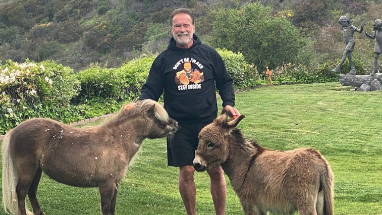 Arnold with lulu and whiskey