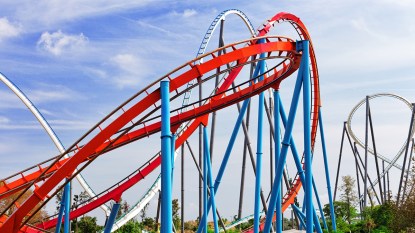 roller coaster causing motion sickness