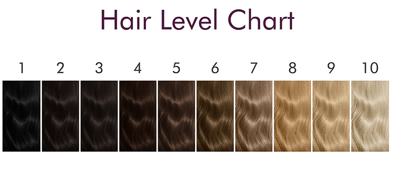 Hair color level chart when determining highlights