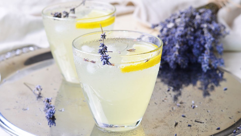 Lemon-Lavender Gin & Tonic