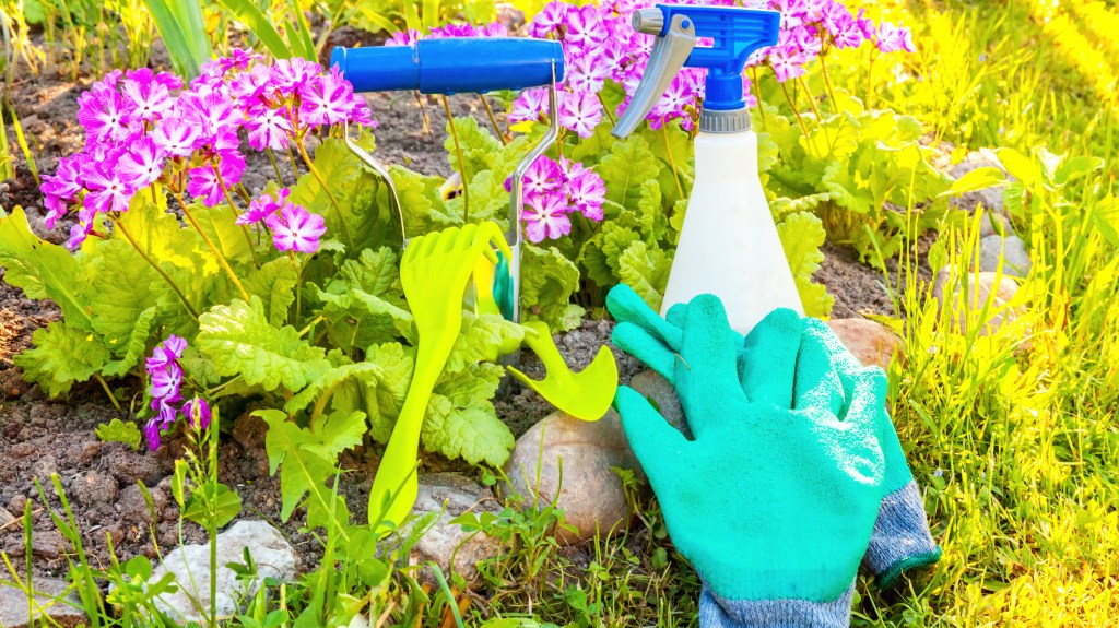 Spray bottle filled with a  weed killer solution placed next to planted flowers in a garden