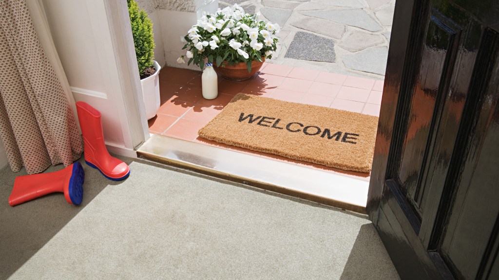 "DIY cleaning products recipes" (Entryway doormat and carpet)
