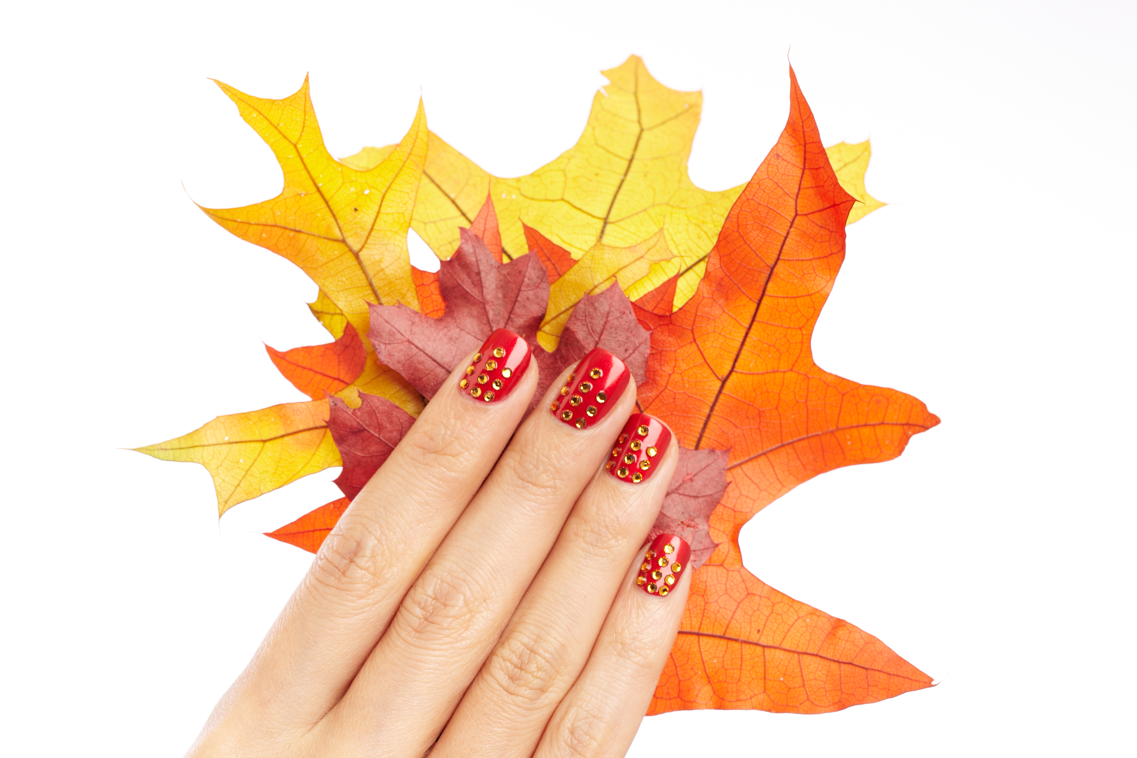 Hands holding leaves with nails painted red with orange rhinestones