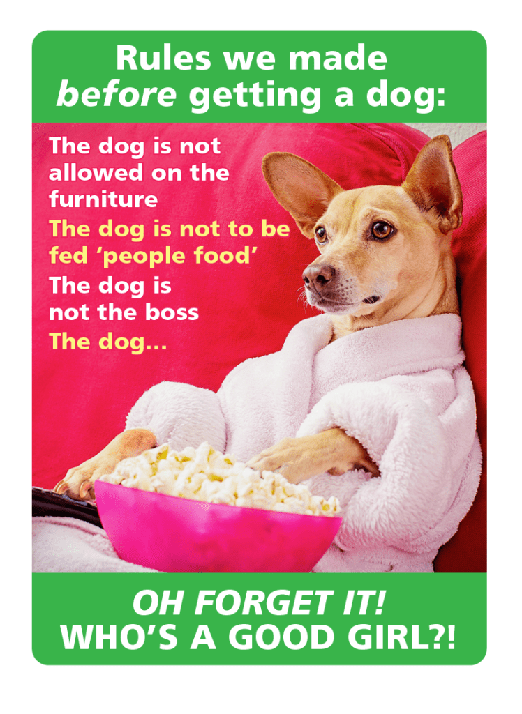 A dog sits in a pink robe eating popcorn like a queen (dog jokes)
