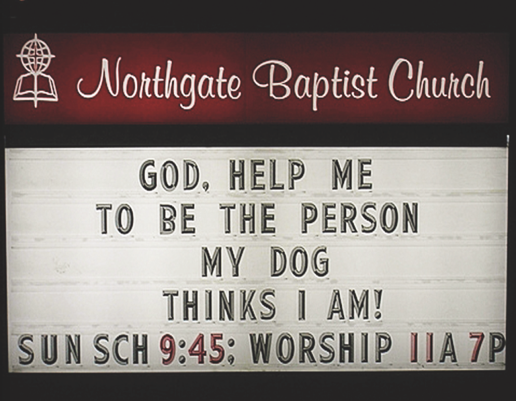 A funny church signs about how dogs see the best version of ourselves 