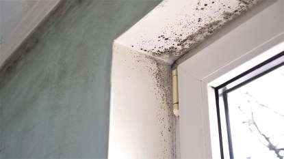 Mold growing in the inside of a windowsill