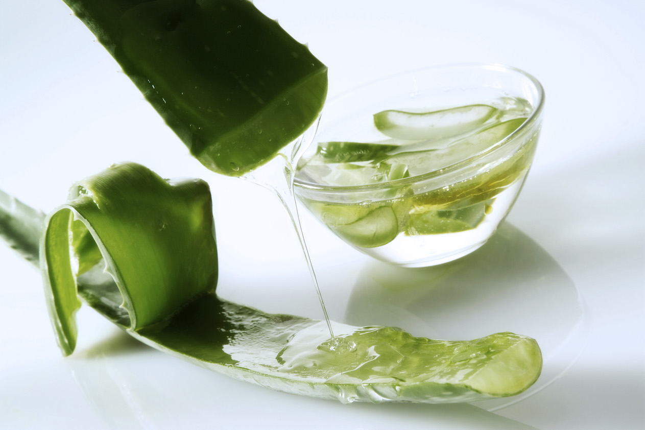 gel from the aloe vera plant and a leaf