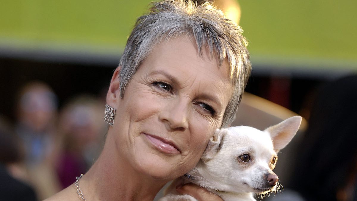 Jamie Lee Curtis with chihuahua at the premiere 'Beverly Hill Chihuahua', 2008