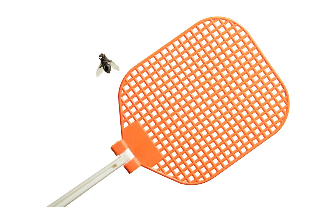 (home remedies to get rid of flies)) Dead flesh fly is lying on its back next to an orange fly swatter. 