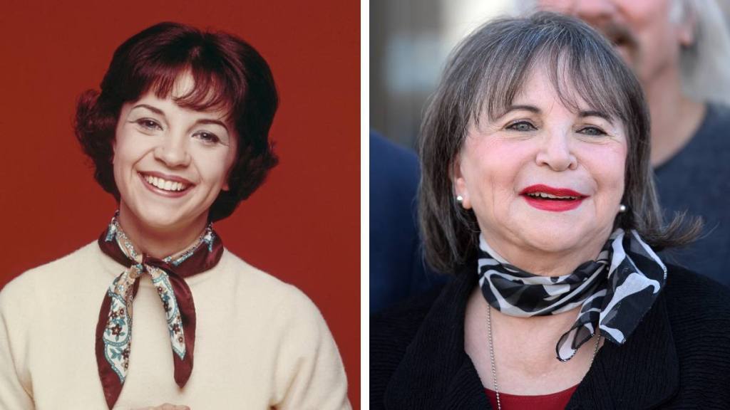 Cindy Williams as Shirley Feeney (Laverne and Shirley cast)  