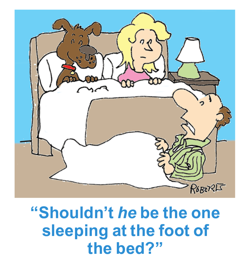 A husband lays on the ground while his wife and dog sleep in bed (dog jokes)