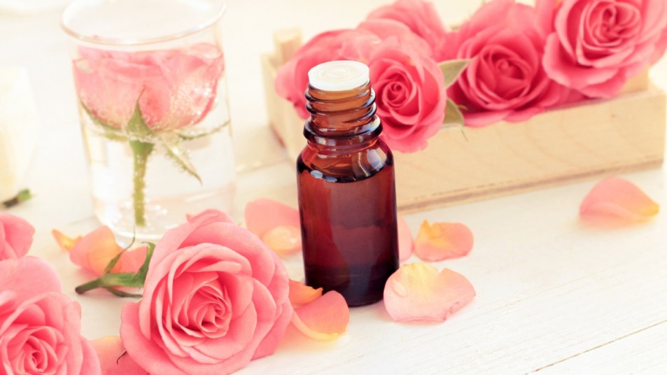 Rose Essential Oil Benefits: Pink fresh rose flowers and petals, essential oil in dark glass bottle