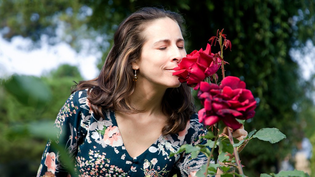 Relaxed woman sniffing a rose bush: rose essential oil benefits
