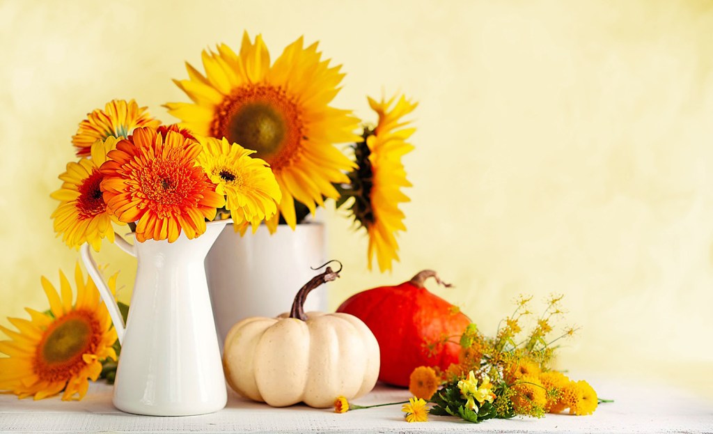Table centerpiece ideas: Casual yet cheery fall vignette for Thanskgiving holiday that shows kitchen pitchers filled with fresh yellow and orange fall flowers and gourds on countertop