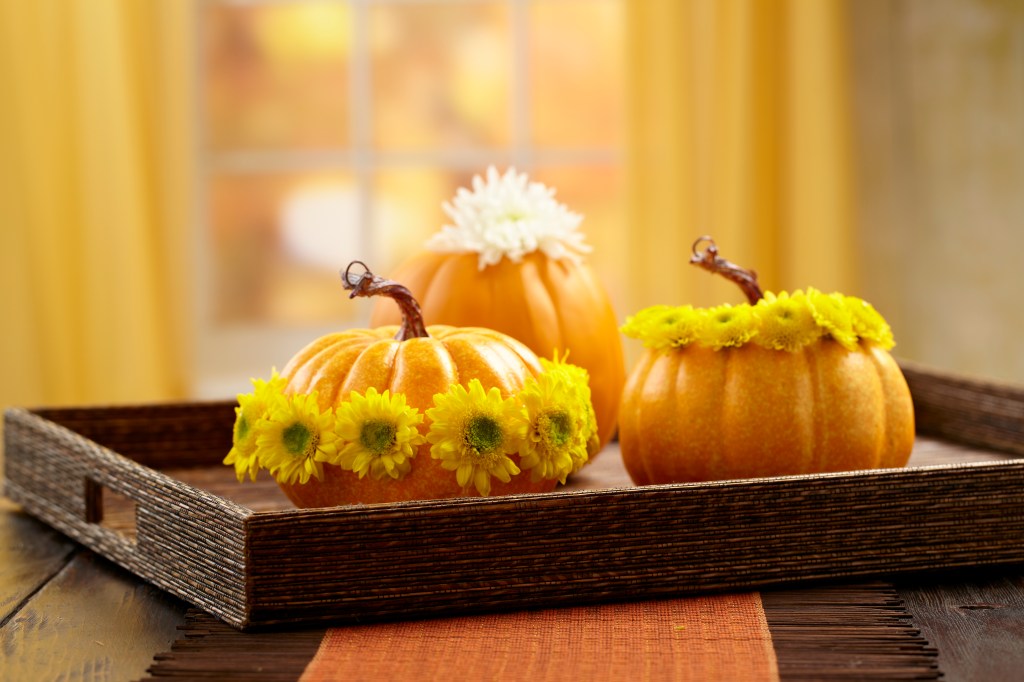 Thanksgiving holiday table display that shows three pumpkins adorned with flowers and placed on a tray on tabletop or surface 