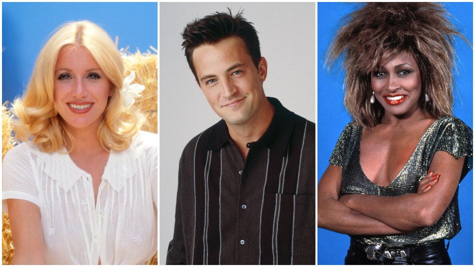 Suzanne Somers, Matthew Perry and Tina Turner