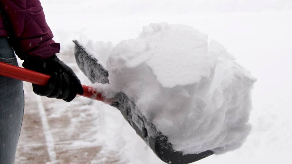 shoveling snow: Holding Snow Shovel