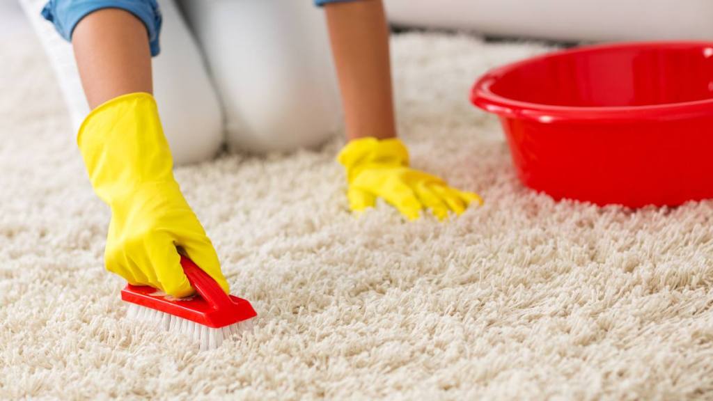 How to Clean Dog Poop Out of Carpet: Woman washing carpet with brush at home