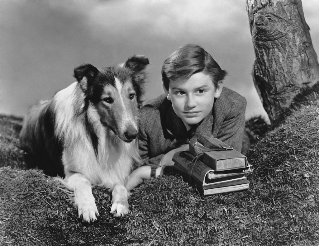 Lassie and Roddy McDowall