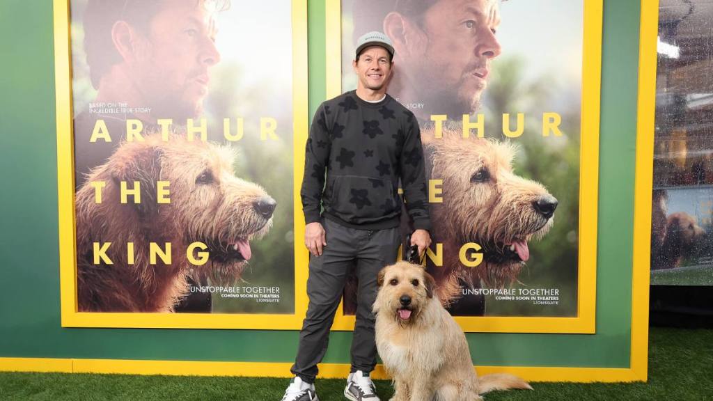 New Mark Wahlberg Movies: Los Angeles Special Screening And Adoption Event For Lionsgate's "Arthur The King"