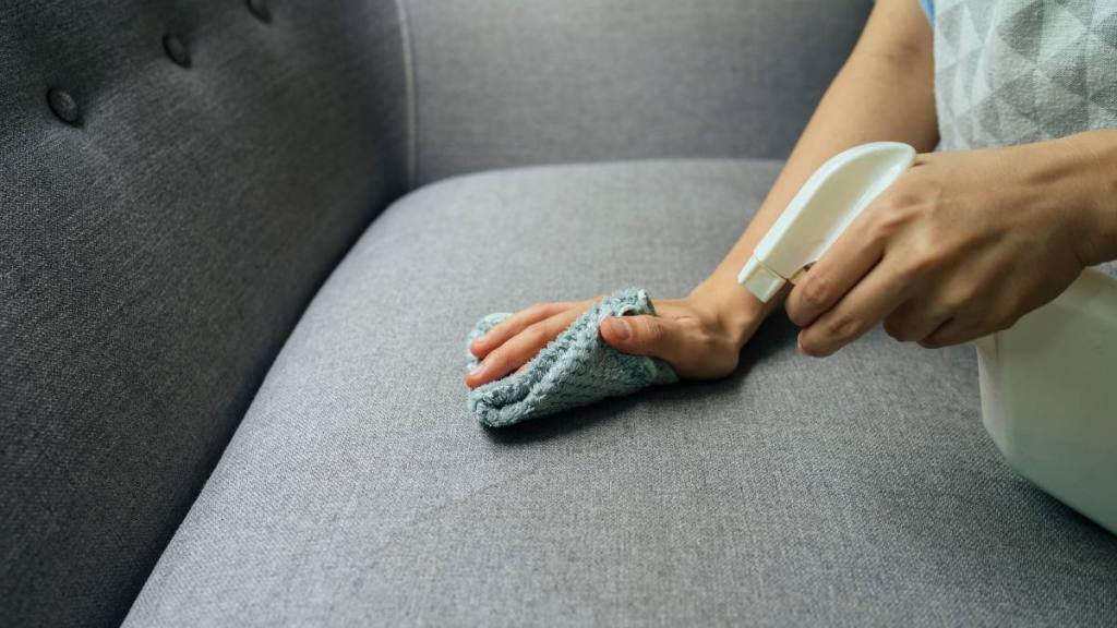 how to clean couch cushions: Young female housekeeping using spray cleaner cleaning house living room and sofa surface protect spread of covid-19