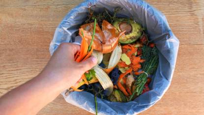 Kitchen Scraps: Domestic waste for compost from fruits and vegetables. Woman throws garbage.