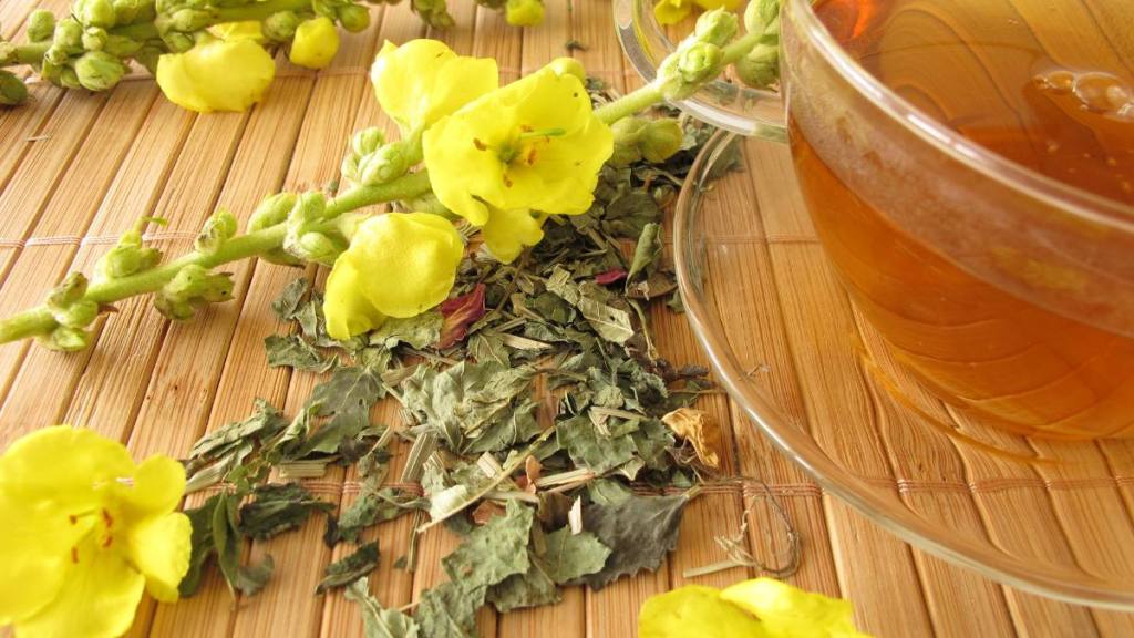 dried mullein flowers; mullein tea benefits