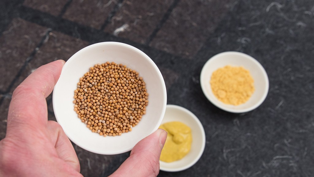 dishes of mustard seed and mustard. Does turmeric help you lose weight?