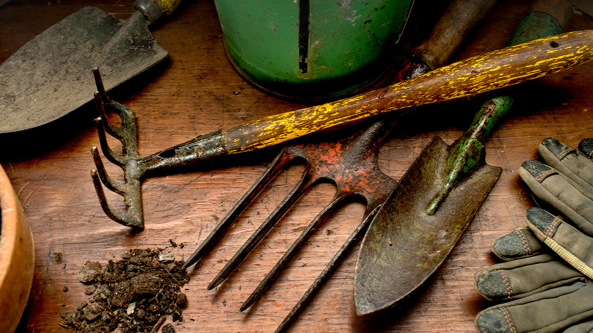 rusty garden tools for how to clean rusty garden tools