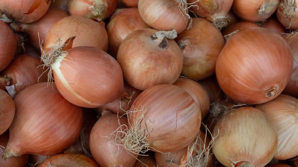 Uses for Pantyhose: Fresh onions on the table in the store, close-up. Vitamin seasoning for a healthy diet. A spicy food ingredient. A slide, a bunch of onions. Market tent, retail and wholesale. Trading place, market. Agricultural products. Farmer's market.