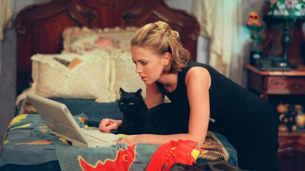Girl looking on computer with cat